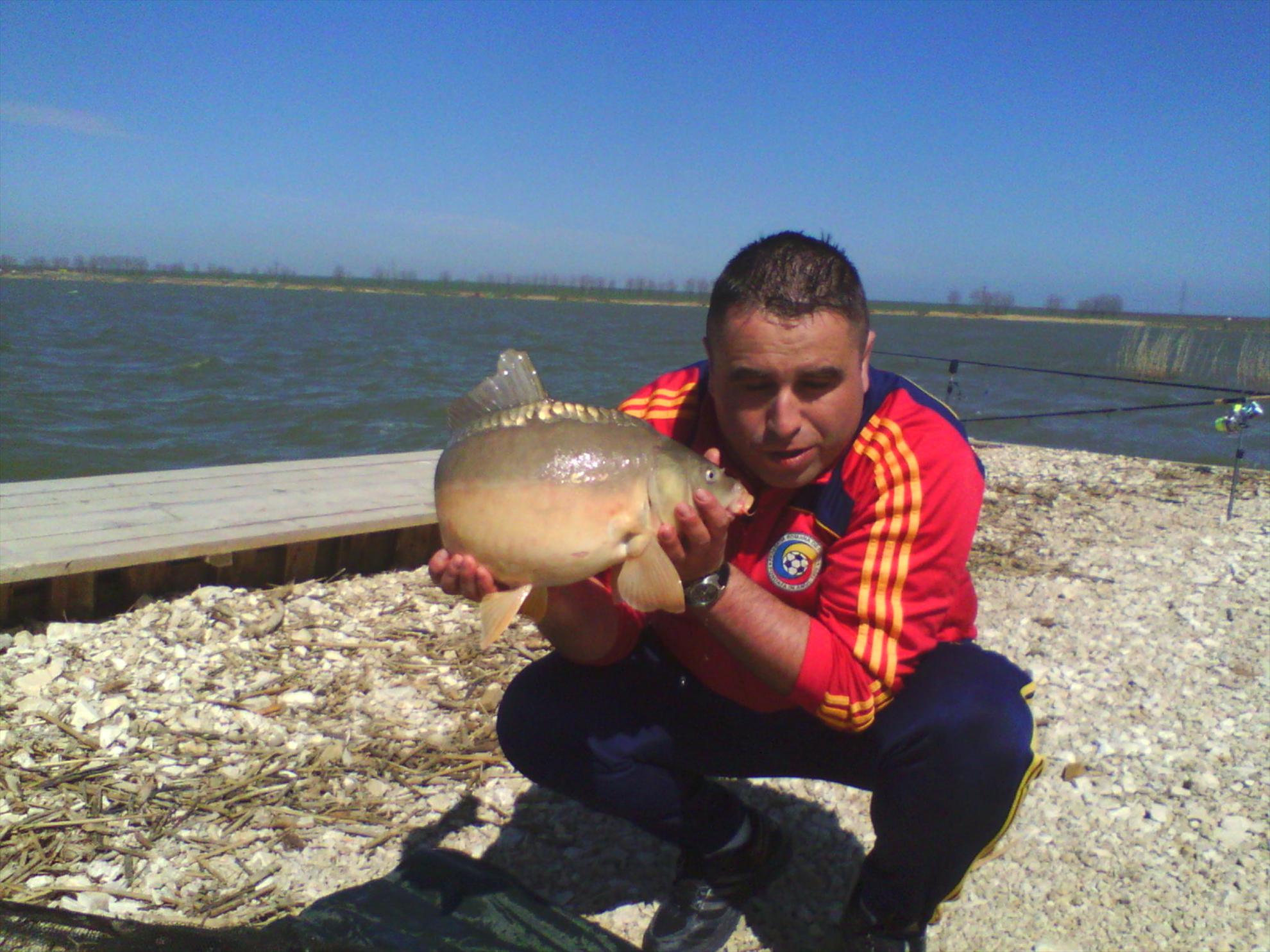 corbu - img20130406142655.jpg